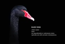 Dodo the Black Swan